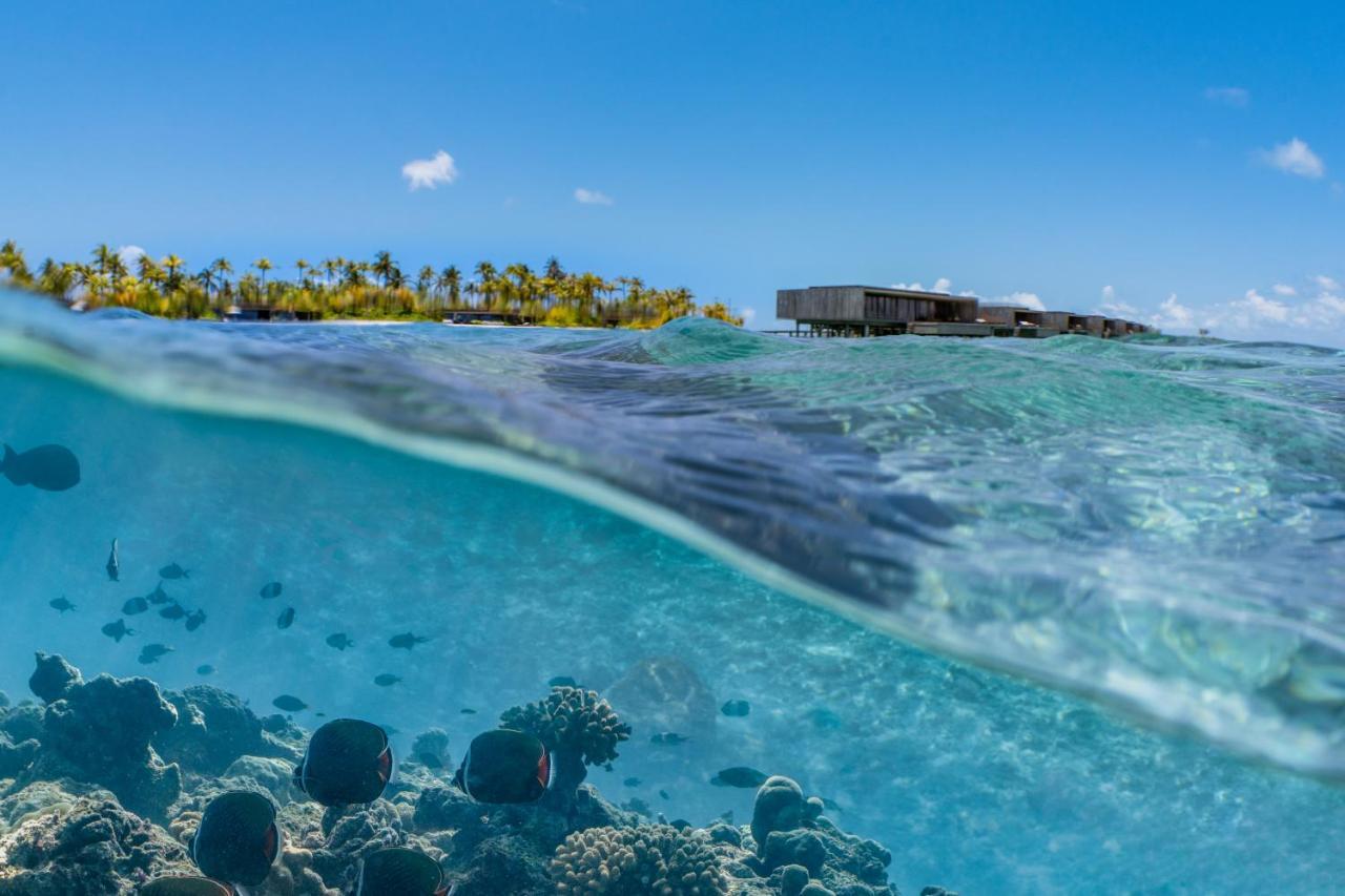Patina Maldives, Fari Islands Otel Gaafaru Dış mekan fotoğraf